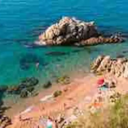 “la Caleta” *